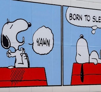 Snoopy Struts Into Meatpacking District With Free Fashion Exhibit
