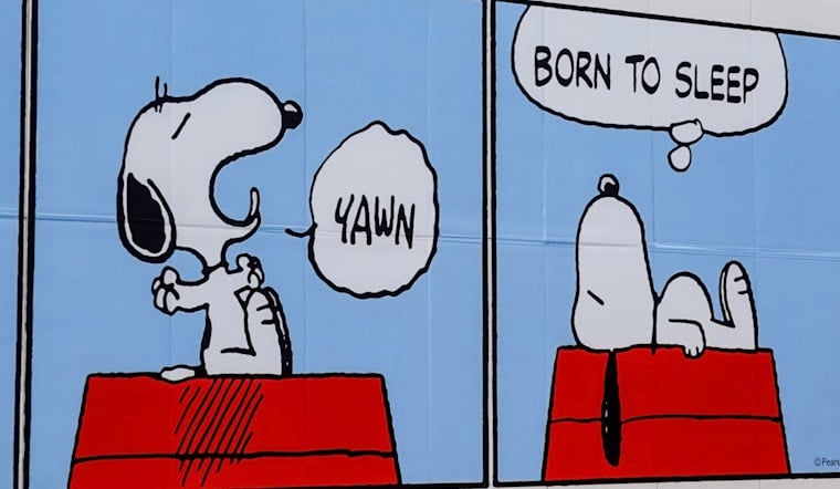 Snoopy Struts Into Meatpacking District With Free Fashion Exhibit