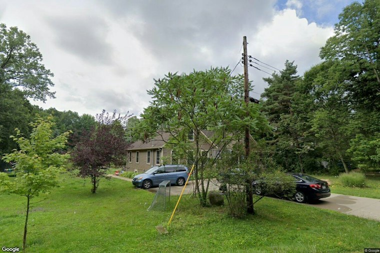 Solon Plants 1,100-Tree Mini Forest at Aurora and Liberty Roads Corner