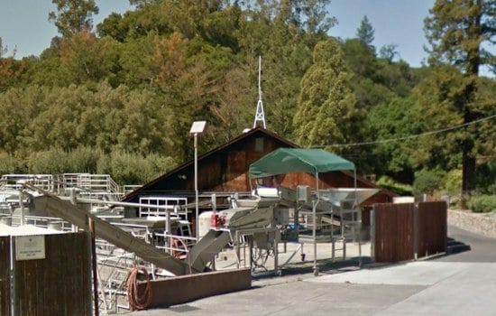 Sonoma's Gundlach Bundschu Winery Files Chapter 11