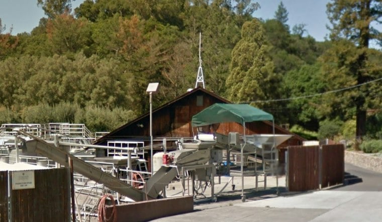 Sonoma's Gundlach Bundschu Winery Files Chapter 11