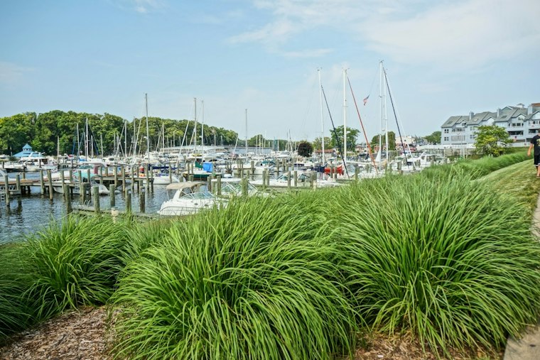 South Haven Property Lists for $2.1M With Guest House