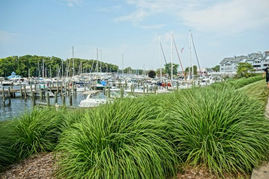 South Haven Property Lists for $2.1M With Guest House