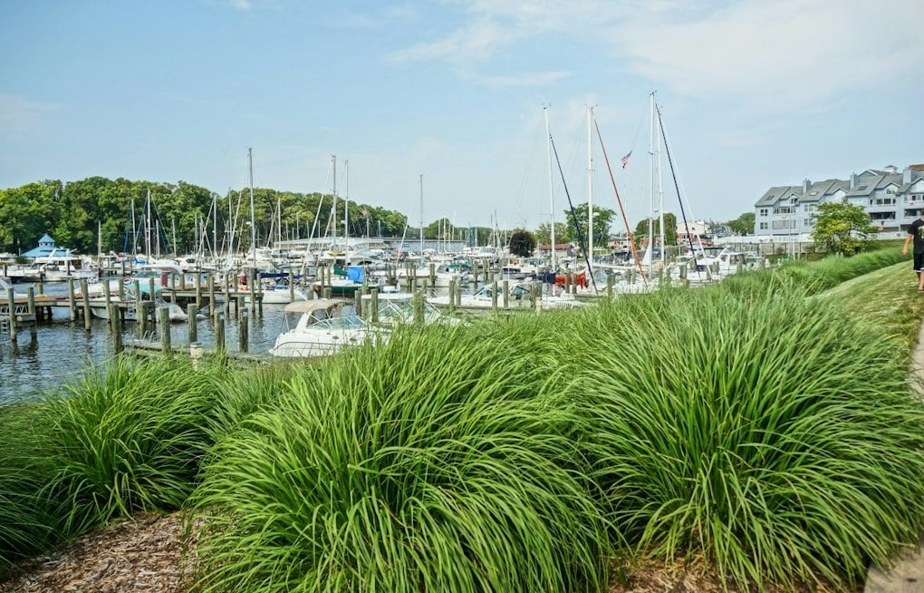 South Haven Property Lists for $2.1M With Guest House