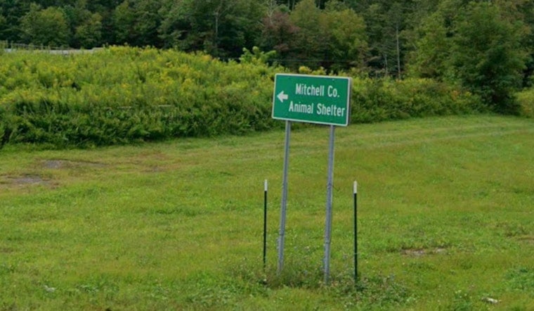 Spruce Pine Woman, Dog Reunited After Shelter Fundraiser