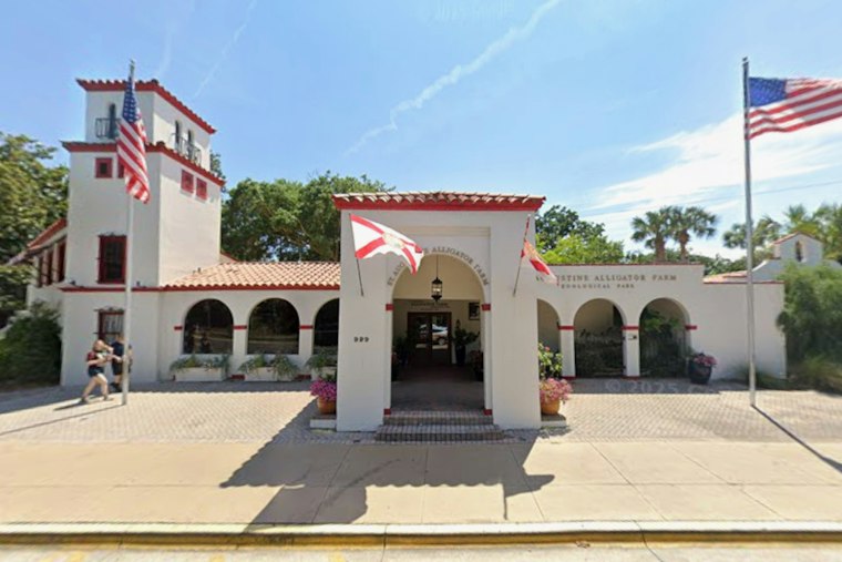 St. Augustine Alligator Farm Debuts Marmoset Habitat Near Giant Croc Maximo