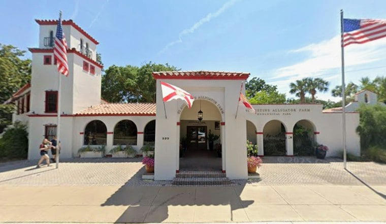 St. Augustine Alligator Farm Debuts Marmoset Habitat Near Giant Croc Maximo