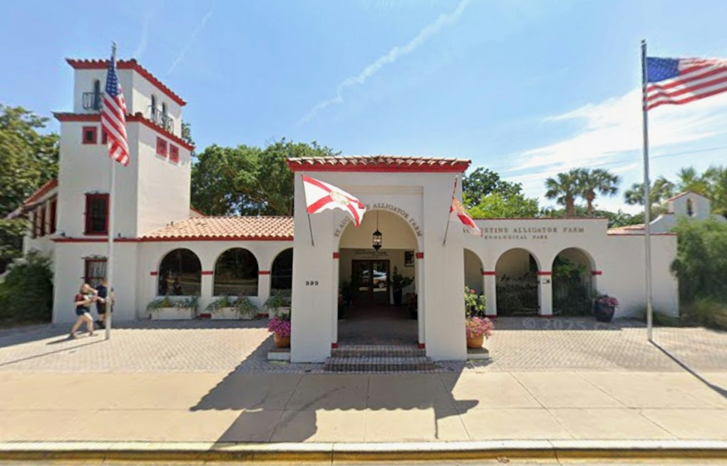 St. Augustine Alligator Farm Debuts Marmoset Habitat Near Giant Croc Maximo