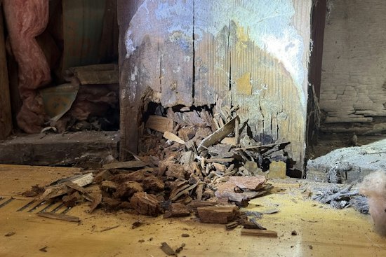 St. Johns Community Center Gym Shuts for 18 Months After Rot Found in Support Post