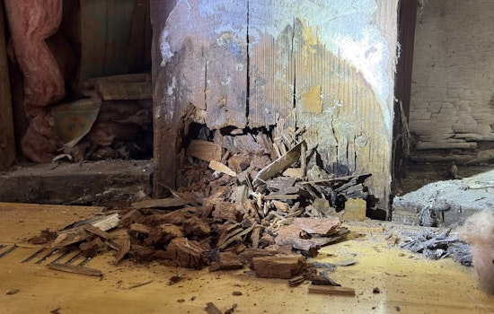 St. Johns Community Center Gym Shuts for 18 Months After Rot Found in Support Post