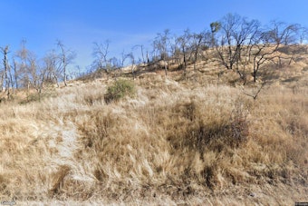 Steele Fire Scorches 70 Acres Near Lake Berryessa, Triggers Napa Evacuation Warning