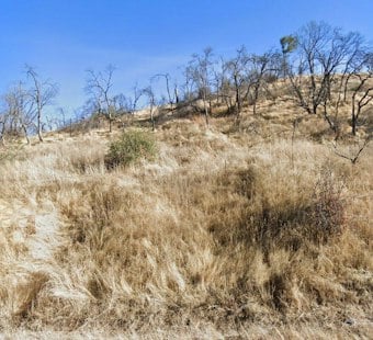 Steele Fire Scorches 70 Acres Near Lake Berryessa, Triggers Napa Evacuation Warning