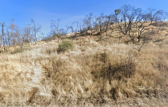 Steele Fire Scorches 70 Acres Near Lake Berryessa, Triggers Napa Evacuation Warning