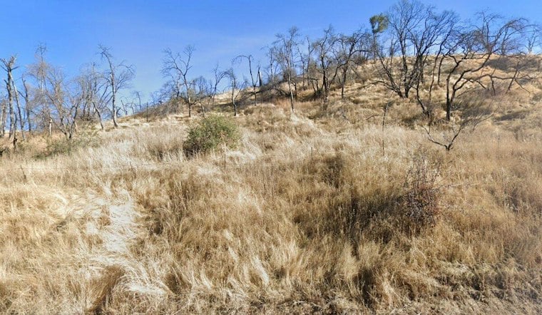 Steele Fire Scorches 70 Acres Near Lake Berryessa, Triggers Napa Evacuation Warning