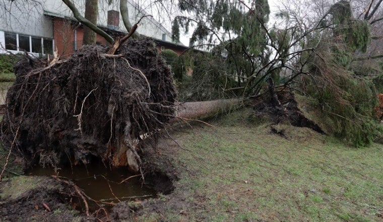 Storm Topples Tree Onto Altamonte Springs Home After Summer Storm