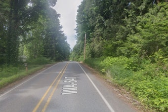 Sumas Man, 48, Dies After Medical Episode Sends SUV Off SR 547 Into Tree