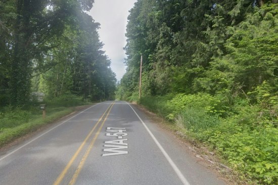 Sumas Man, 48, Dies After Medical Episode Sends SUV Off SR 547 Into Tree
