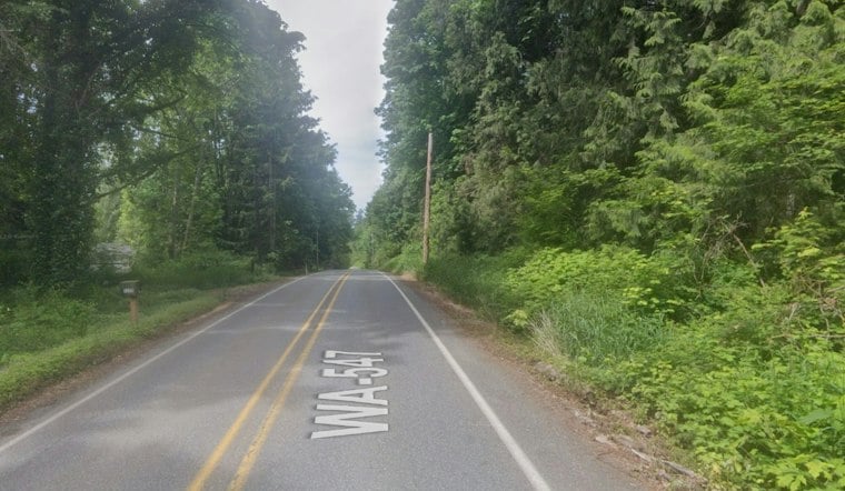 Sumas Man, 48, Dies After Medical Episode Sends SUV Off SR 547 Into Tree
