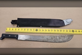 Sunnyvale Man Hits Boy With Machete Near Central and Lincoln, Police Say