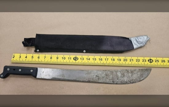 Sunnyvale Man Hits Boy With Machete Near Central and Lincoln, Police Say