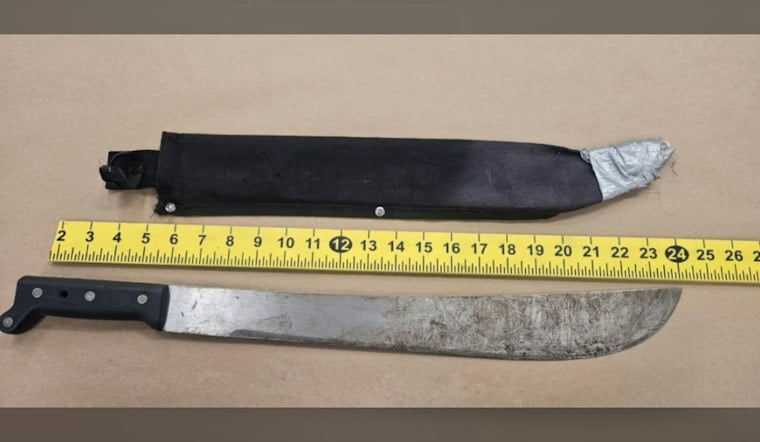 Sunnyvale Man Hits Boy With Machete Near Central and Lincoln, Police Say