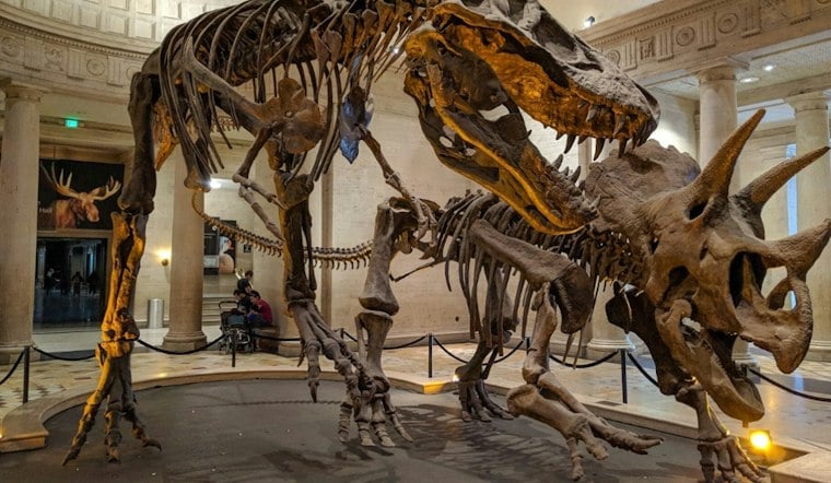 T. Rex Ran Hot as an Elephant, Fossil Tooth Study From LA's Thomas Reveals
