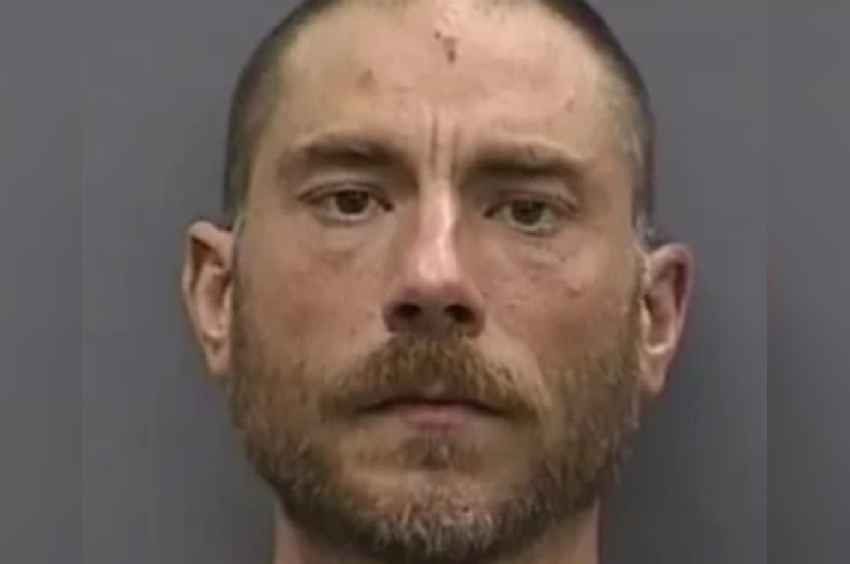 Tampa Dog Fire Death Leads to Courtney Campbell Standoff