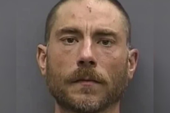 Tampa Dog Fire Death Leads to Courtney Campbell Standoff