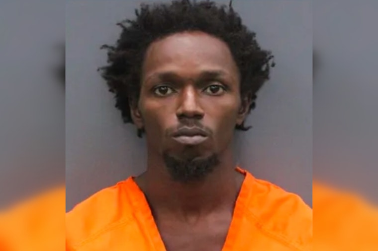 Tampa Man, 29, Found Hiding in Backyard Shed After Fleeing Deputies at High Speed
