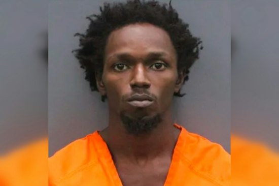 Tampa Man, 29, Found Hiding in Backyard Shed After Fleeing Deputies at High Speed