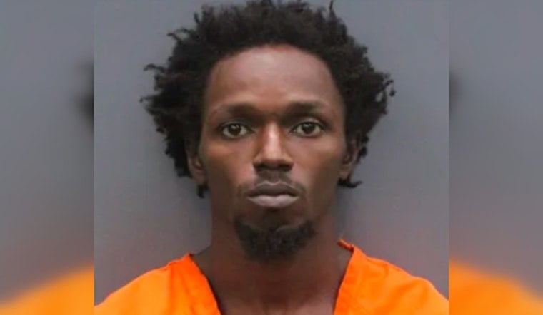 Tampa Man, 29, Found Hiding in Backyard Shed After Fleeing Deputies at High Speed