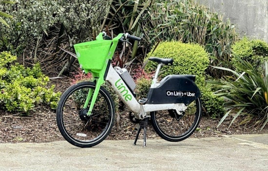 Tarpon Springs Bans Sidewalk E-Bikes Near Sponge Docks After Deadly Pinellas Trend