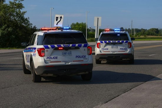 Teen Driver Strikes Mother, Daughter, Dog Outside Ottawa High School