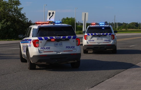 Teen Driver Strikes Mother, Daughter, Dog Outside Ottawa High School