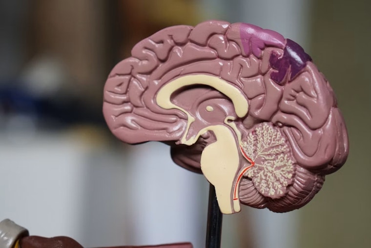 Teen's School Project Exposes Hidden Brain Injuries In Coast Guard Rescue Crews
