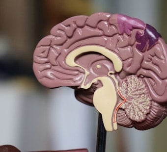 Teen's School Project Exposes Hidden Brain Injuries In Coast Guard Rescue Crews