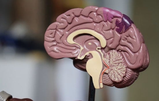 Teen's School Project Exposes Hidden Brain Injuries In Coast Guard Rescue Crews