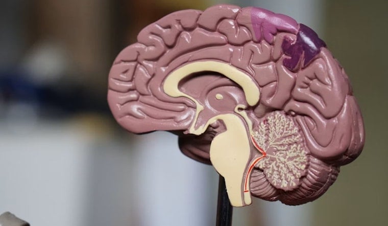 Teen's School Project Exposes Hidden Brain Injuries In Coast Guard Rescue Crews