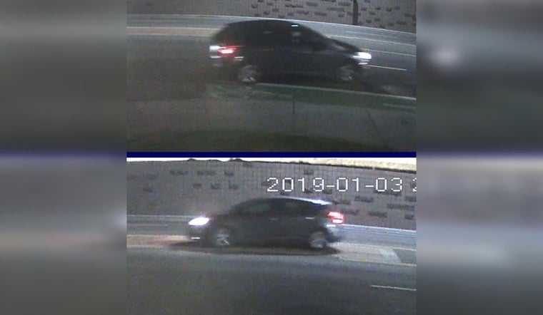 Tempe Cops Hunt Gray Ford Focus Tied to Pregnant Woman's Unsolved 2019 Killing