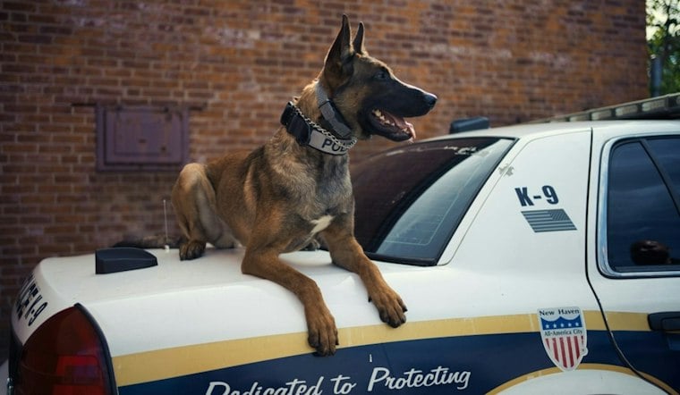 Tennessee K-9 Bart Dies of Heat Stroke After Being Left in Kennel, Deputy Quits