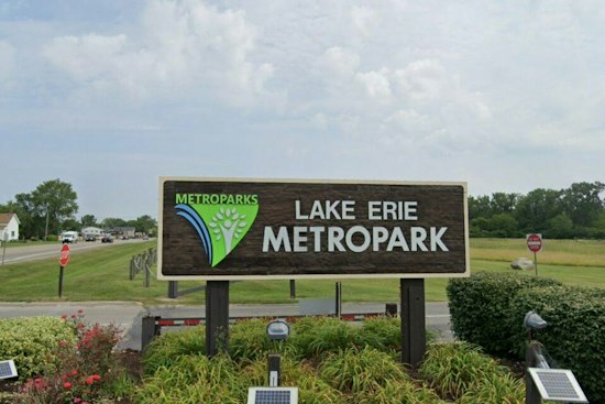Tens of Thousands of Broad-Winged Hawks Pour Over Gibraltar's Lake Erie Metropark
