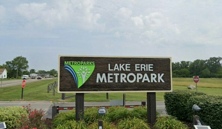 Tens of Thousands of Broad-Winged Hawks Pour Over Gibraltar's Lake Erie Metropark
