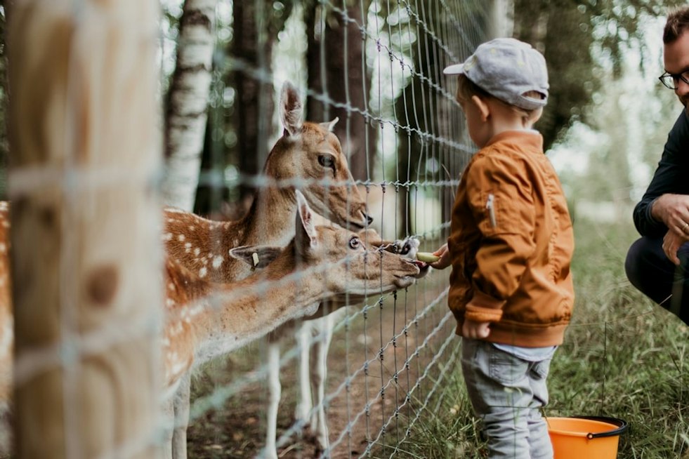 Thousands Descend on Detroit Zoo as Autism Hero Walk Battles Michigan Funding Cuts
