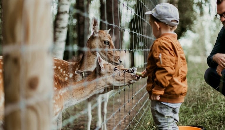 Thousands Descend on Detroit Zoo as Autism Hero Walk Battles Michigan Funding Cuts