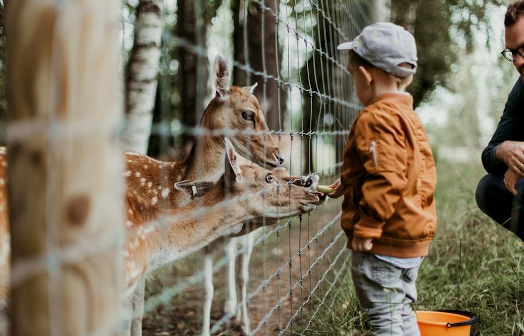 Thousands Descend on Detroit Zoo as Autism Hero Walk Battles Michigan Funding Cuts