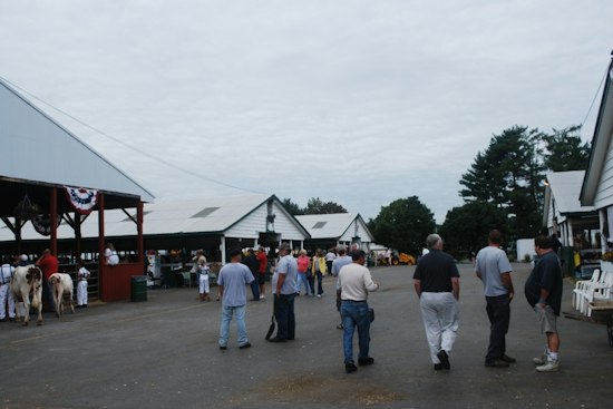 Three Men Charged in Brutal Beatdown of Man Waiting in Line at Dutchess County Fair