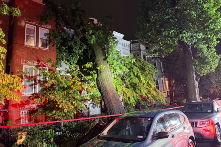 Toppled Trees Crush Cars, Force Evacuation as DC Storm Knocks Out Power to 16,000
