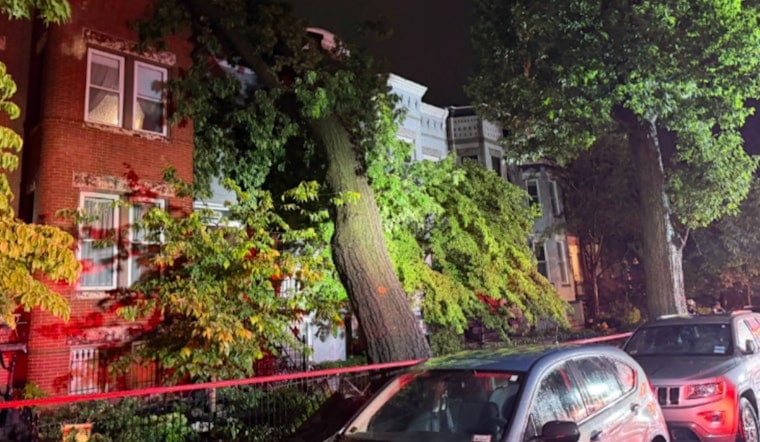 Toppled Trees Crush Cars, Force Evacuation as DC Storm Knocks Out Power to 16,000