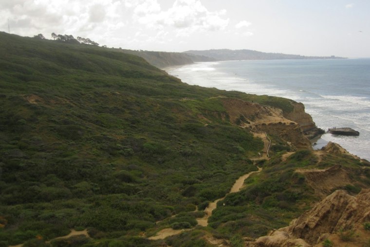 Torrey Pines Reserve Shuts Down Next Week for 6-Month Utility Overhaul