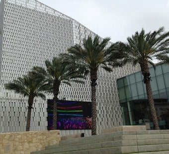 TOSA Presents Strum & Folk at San Antonio's Tobin Center